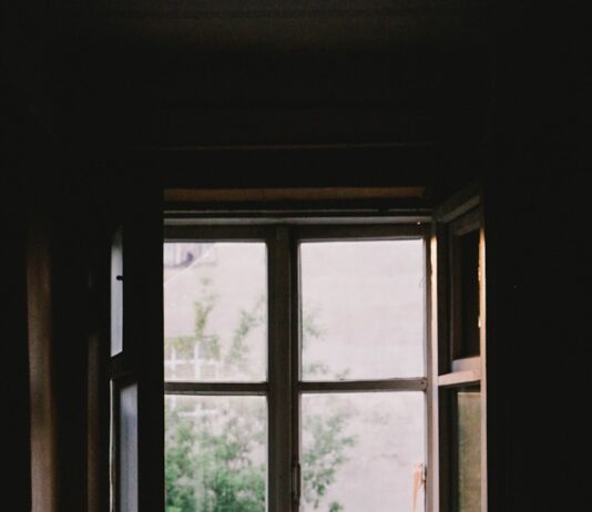 “작은 습관, 큰 변화… 일상 속에서 지킬 수 있는 정신건강 관리법” open casement window near plants