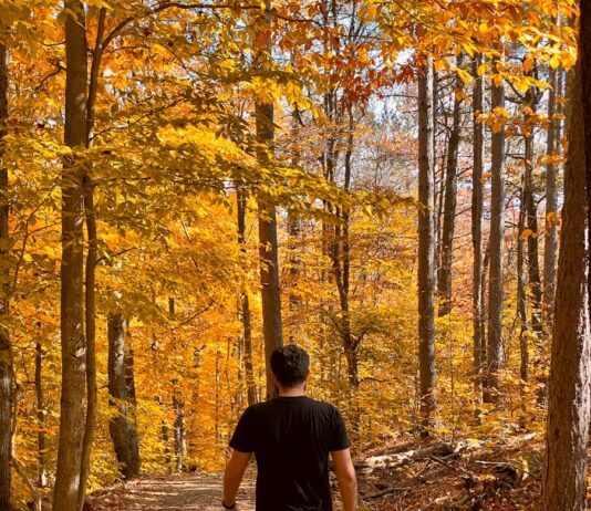 ‘걷기’가 바꾸는 나의 하루—트렌디하게 실천하는 일상 속 건강 습관 a man walking down a path in the woods