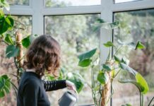 ‘마음 청소’로 활력을 찾다… 스트레스 관리를 위한 일상 속 작은 변화들 a woman watering plants in a window sill