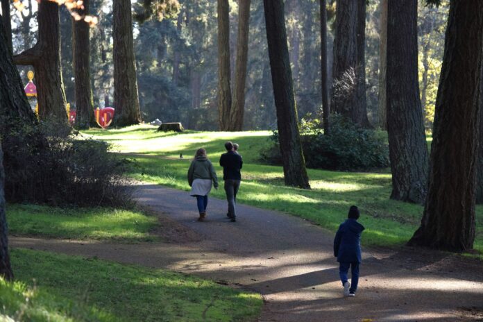 a group of people walking down a path through a forest